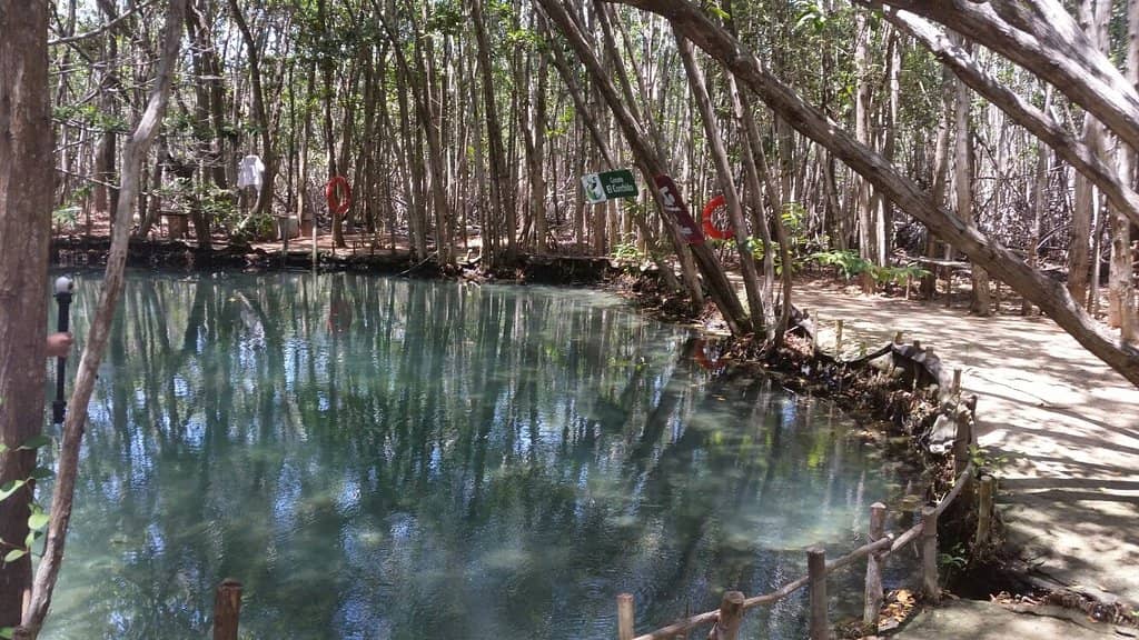 Natural Pools & Cenotes