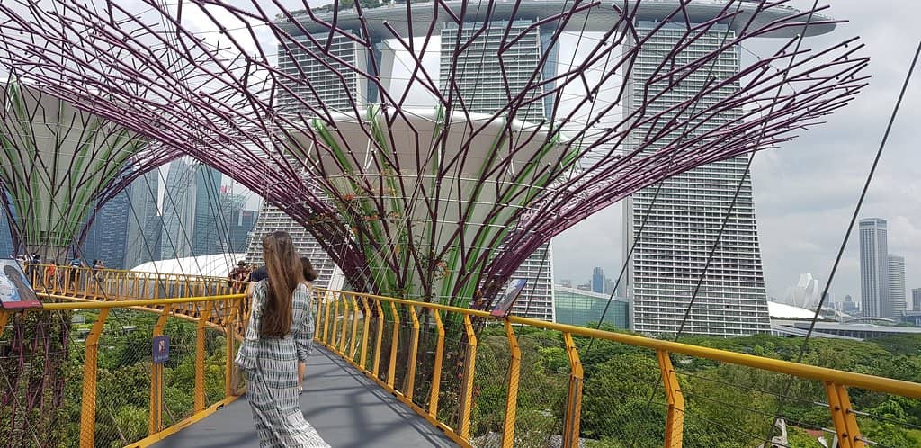 Garden Rhapsody Light Show