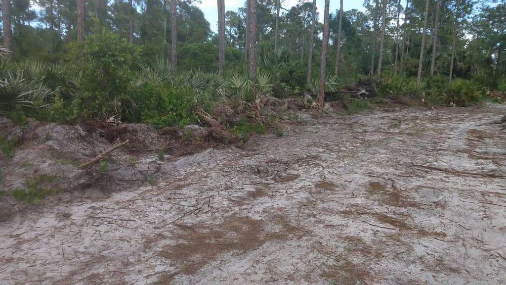 Wetland Preserve Trails