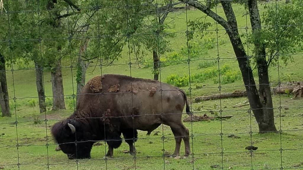 Jordan Creek Covered Bridges