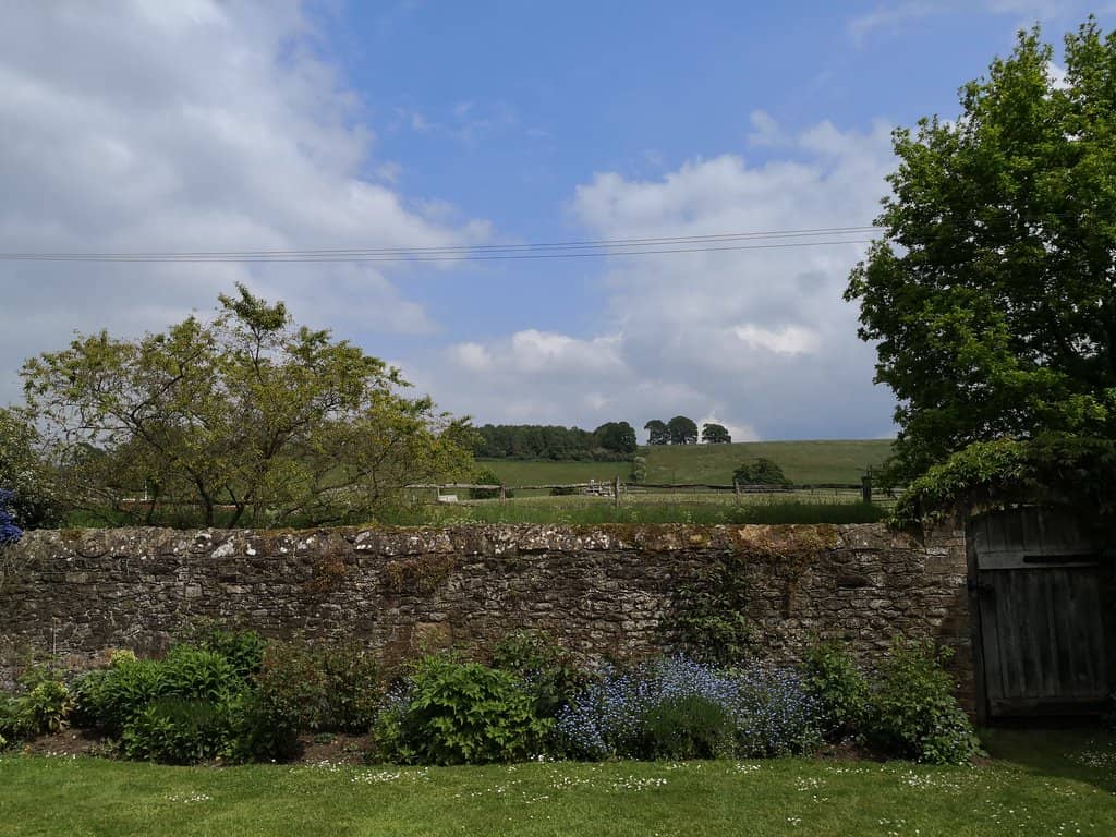 Dog Park & Agility Area