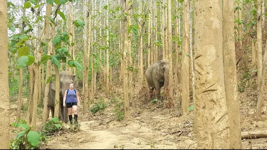 Ethical Conservation Talk