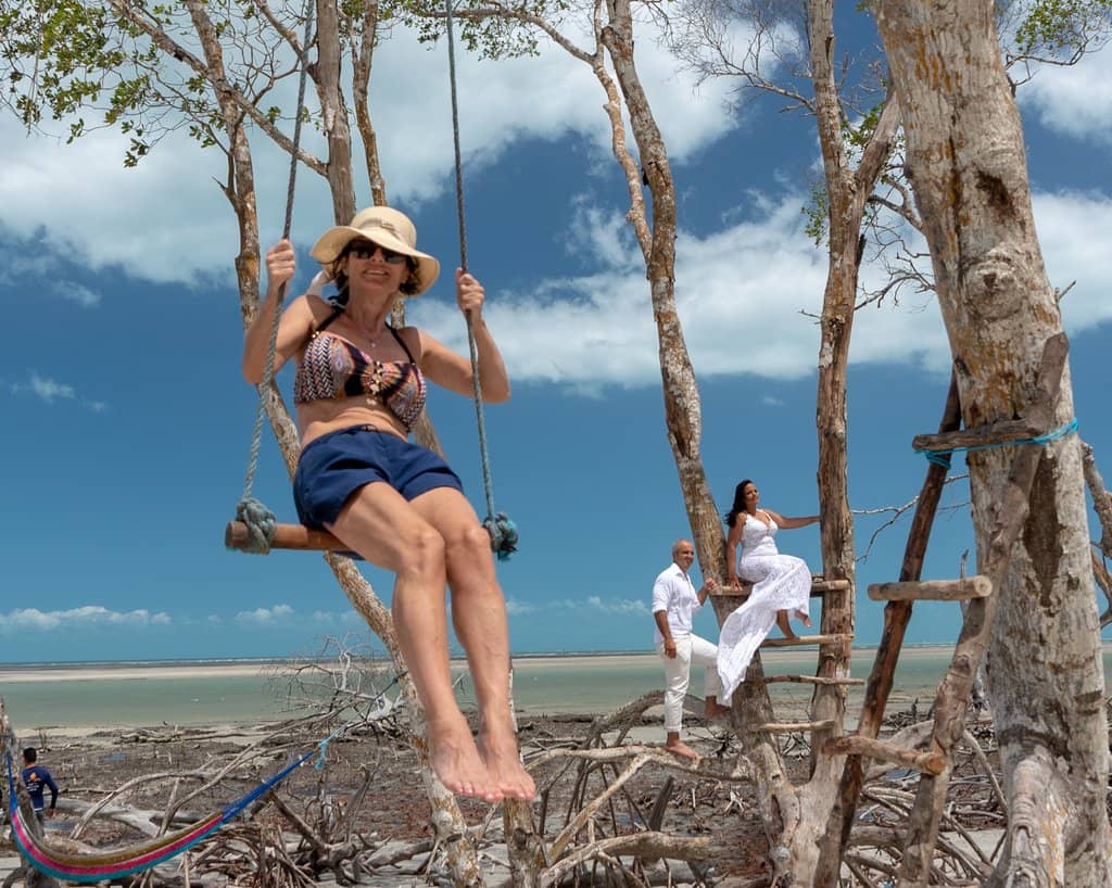 Tree Playgrounds & Structures