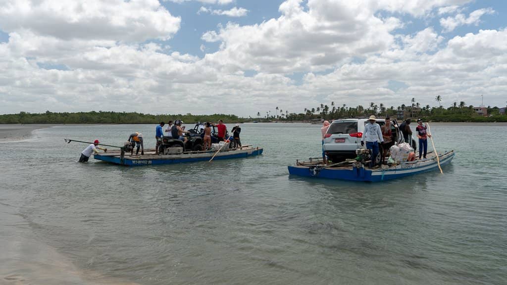 Surreal 'Dead Swamp' Scenery