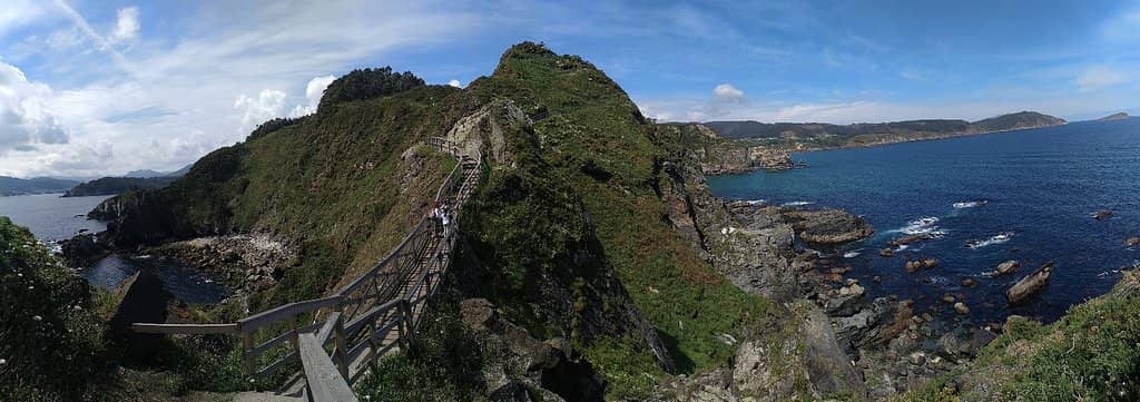 Eucalyptus Forest Trail