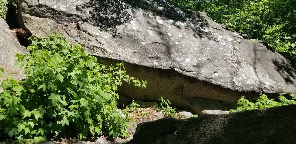 Trailside Museums & Zoo