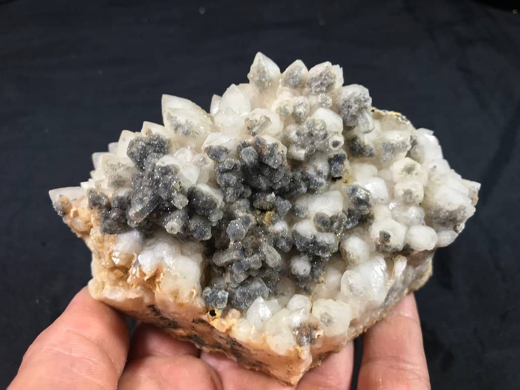 Wildflower Spectacle