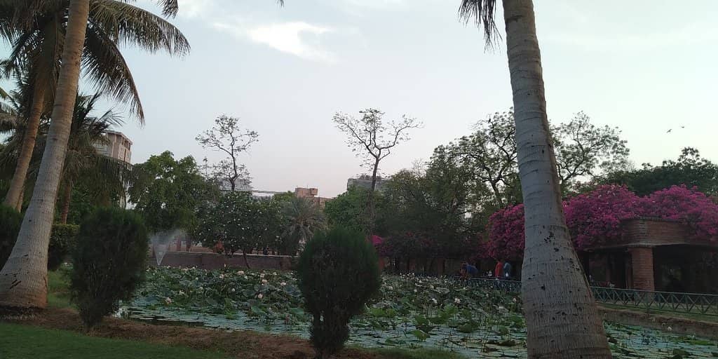 Children's Play Area