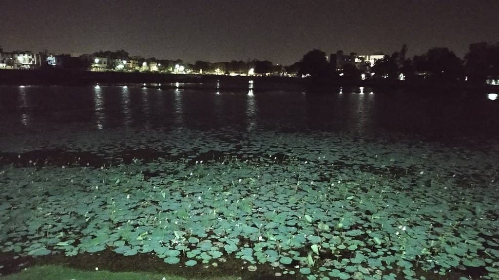 Jogging and Walking Trails