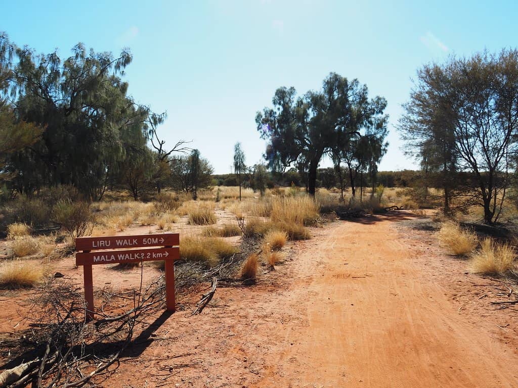 Kata Tjuta (The Olgas)