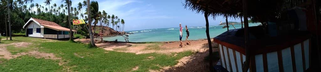 Whale Watching