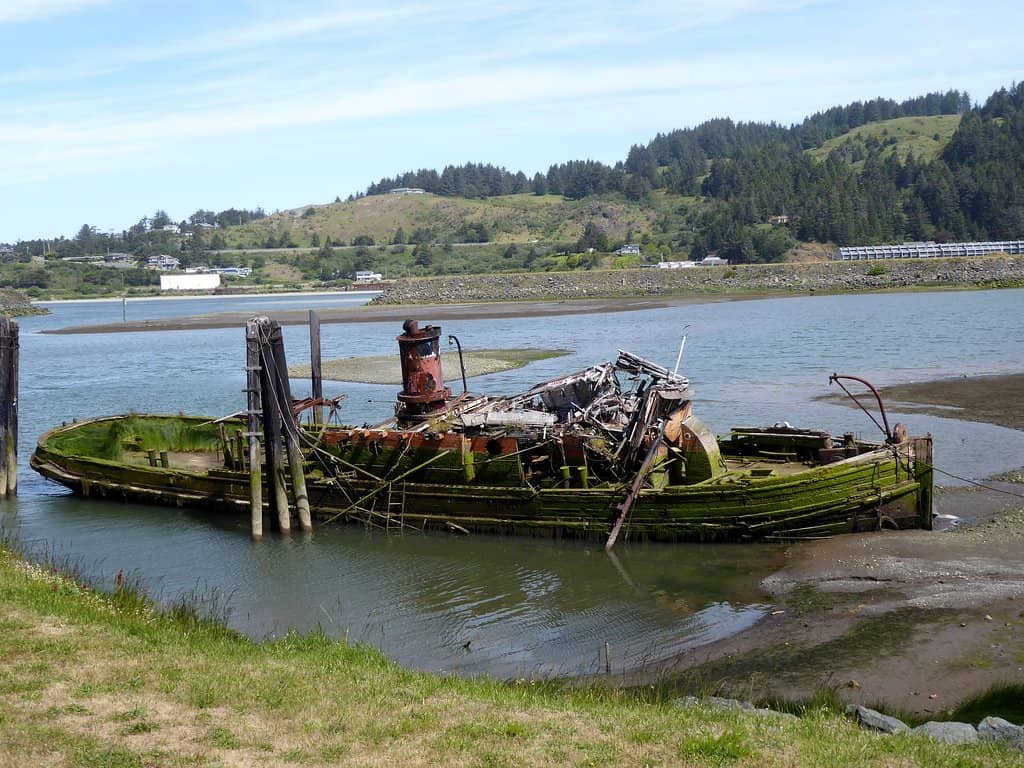 Sea Lion Island