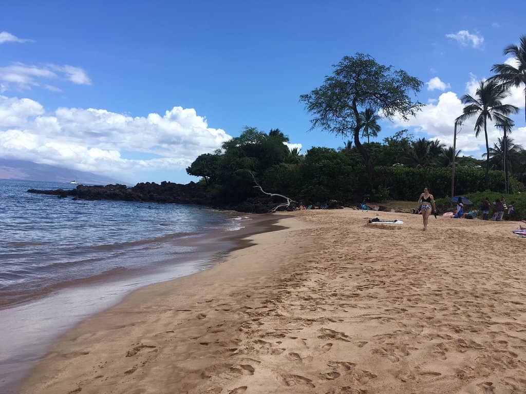 Snorkeling at the South End