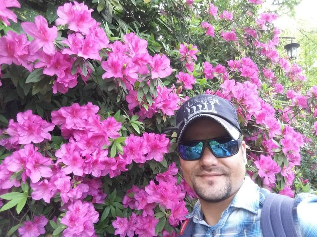 Jungle Hike Viewpoint