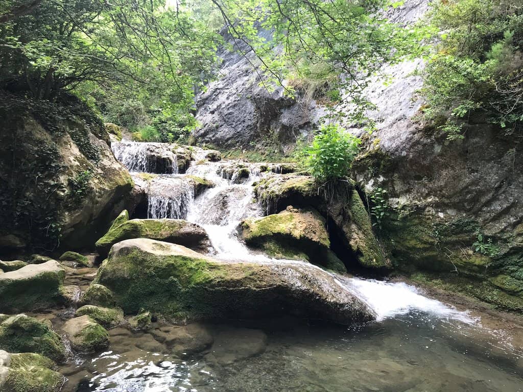 Vertical photo