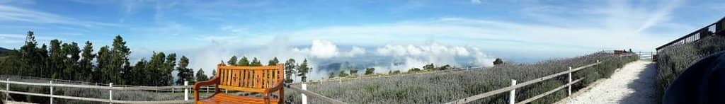 Well-Maintained Paths