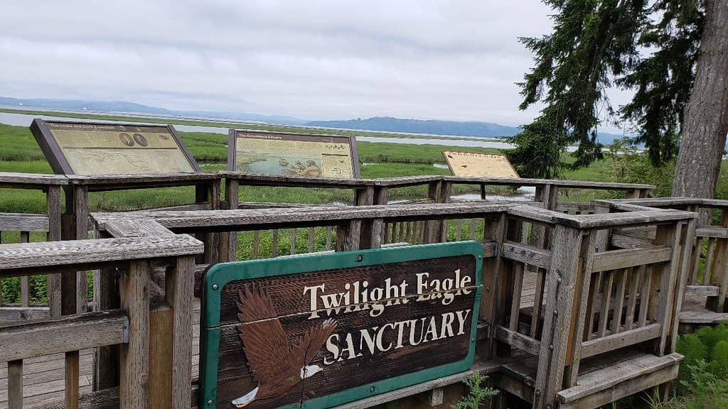 Spectacular Falconry Show