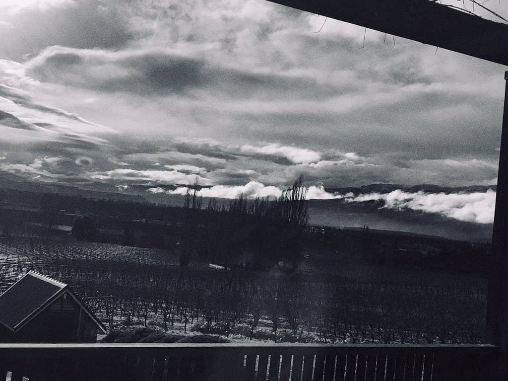 Biodynamic Vineyard Tour