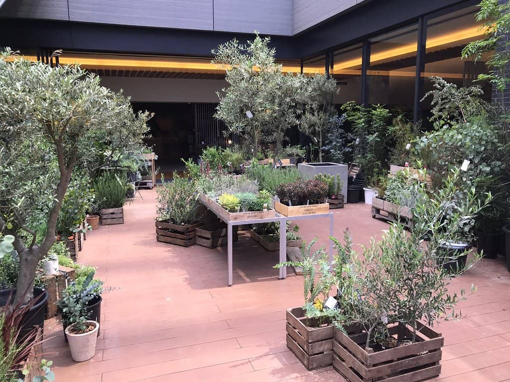 Diverse Culinary Delights