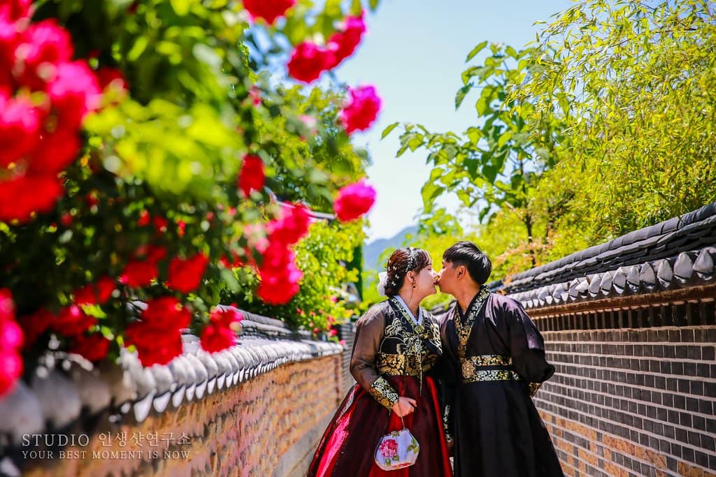 Highlights