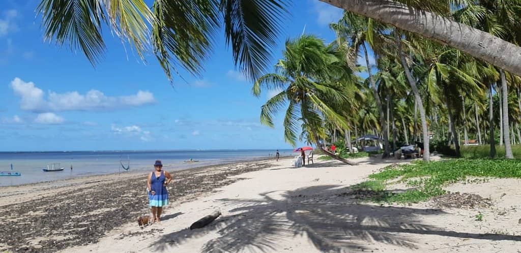 Charming Beachfront Accommodations