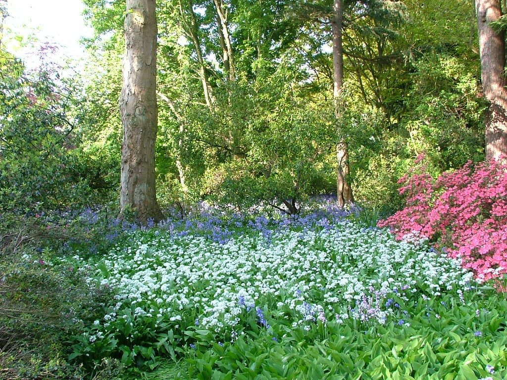 Royal Carriages Museum