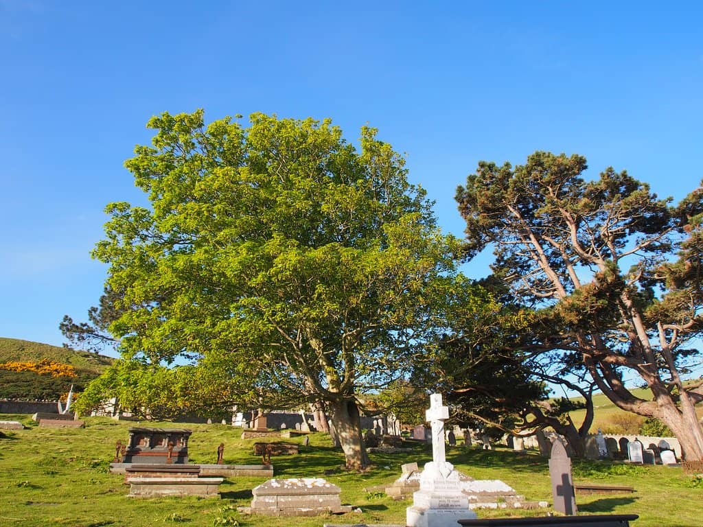 Historic Gravestones