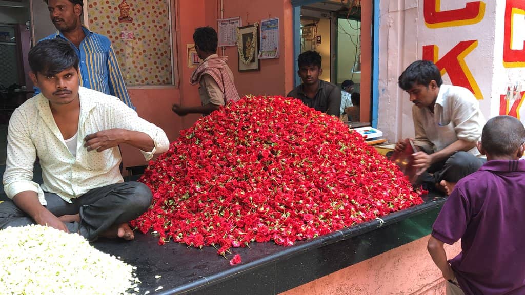 Wholesale Flower Deals