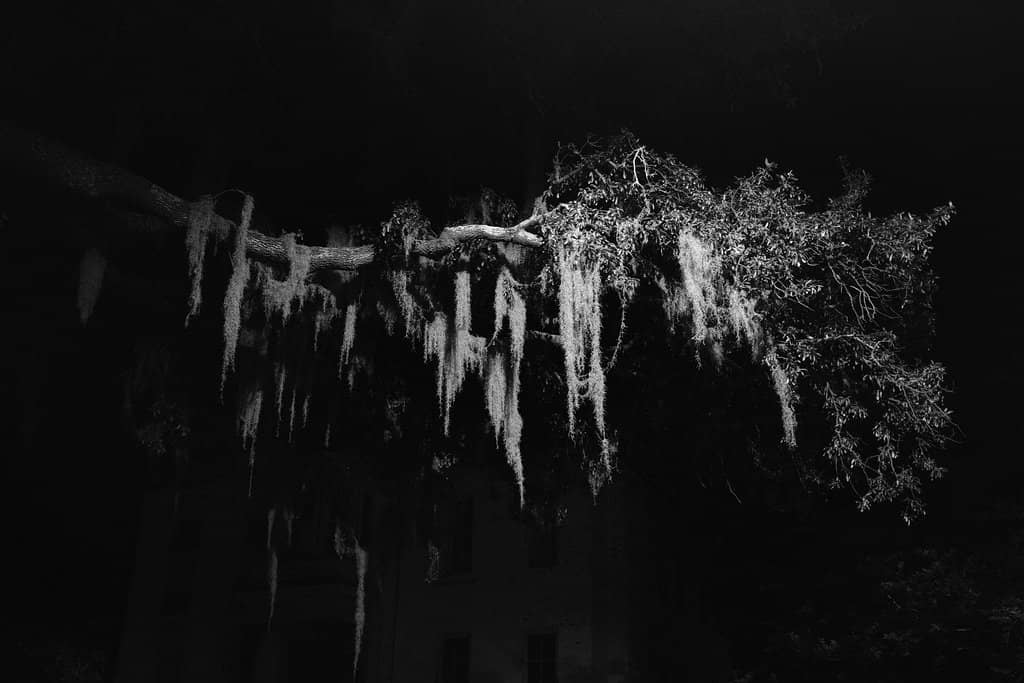 Taylor Square's Legacy