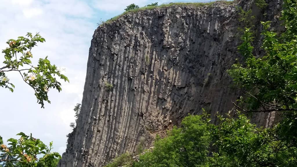 Vertical photo