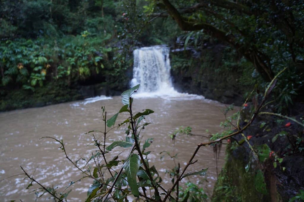 Hana Lava Tube