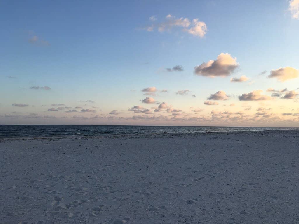 Birdwatching Paradise