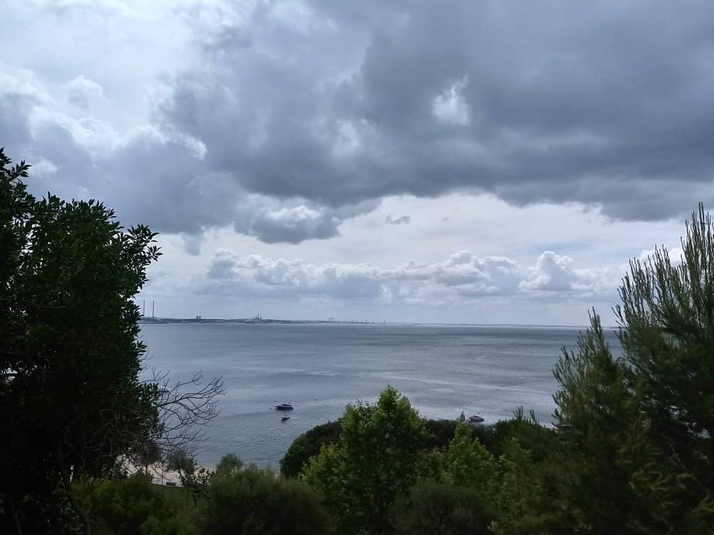 Vertical photo