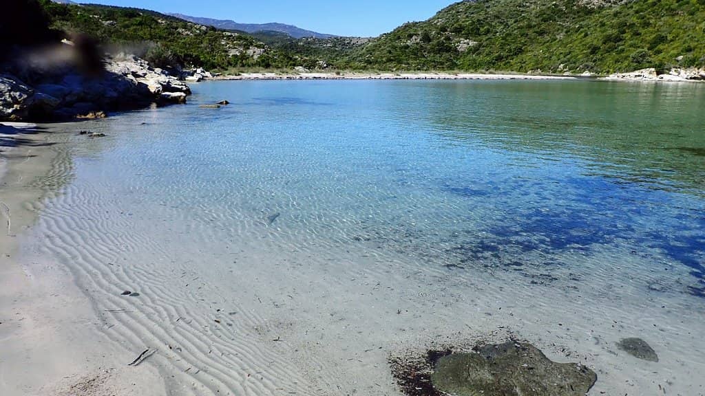 Rocky Side Snorkeling