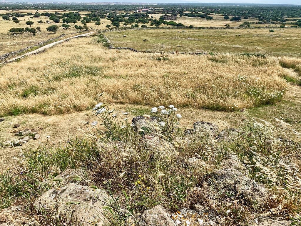 The Village Remains