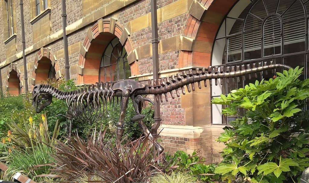 Ancient Civilizations Exhibits