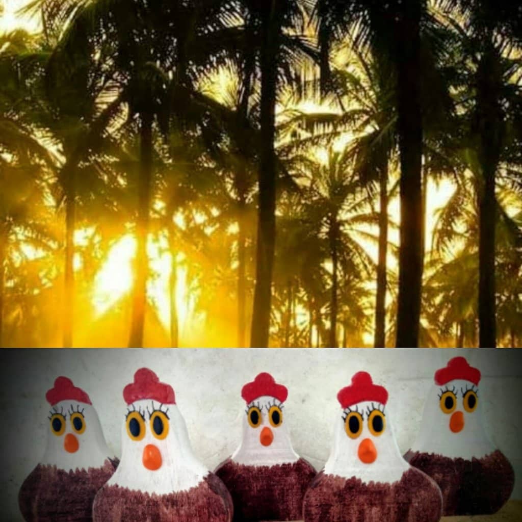 Meet Gilberto Carcará