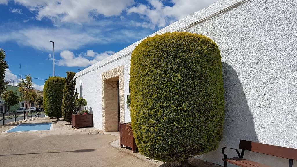 Artistic Resignification