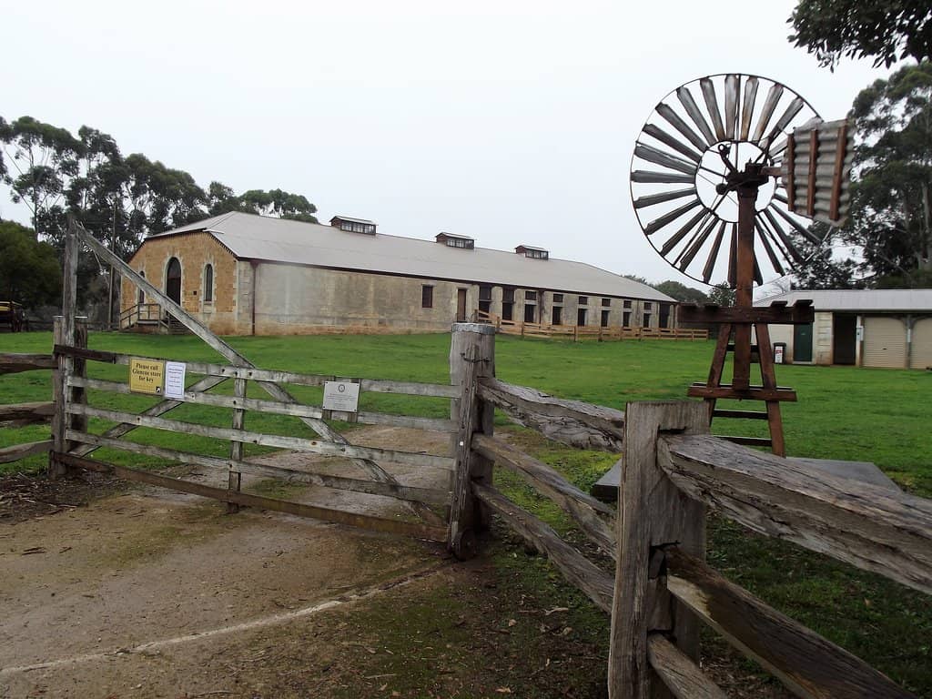 Local History Insights