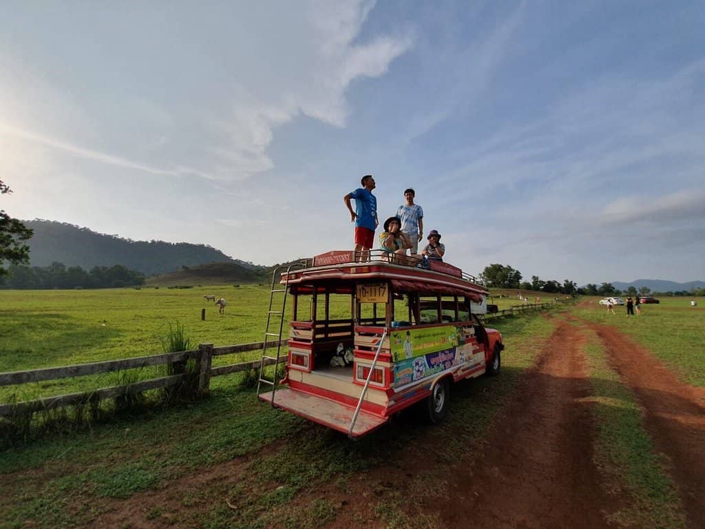 Expansive Grassy Fields