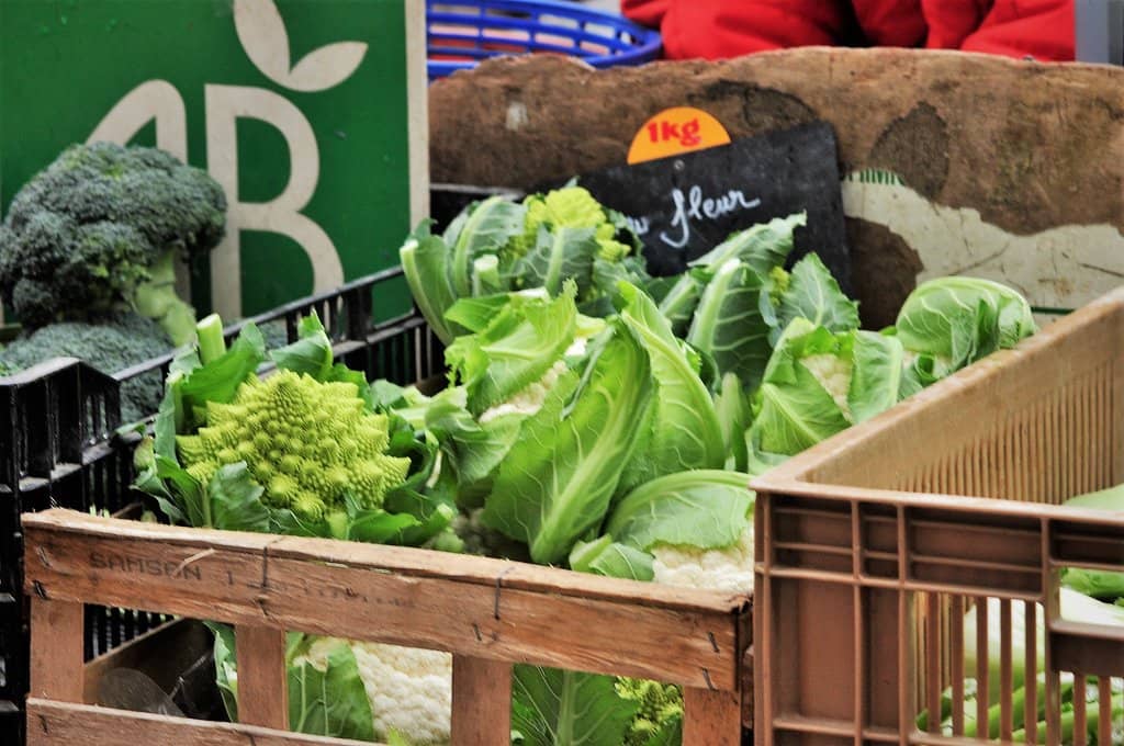 Carnot Market