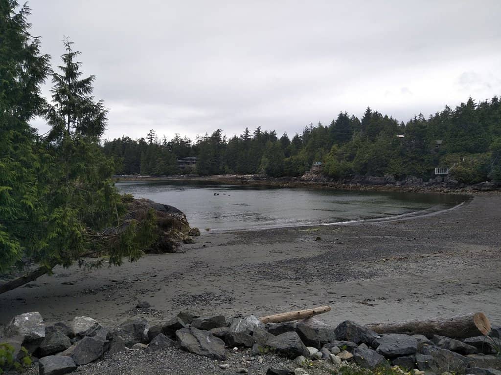 Wild Pacific Trail Views