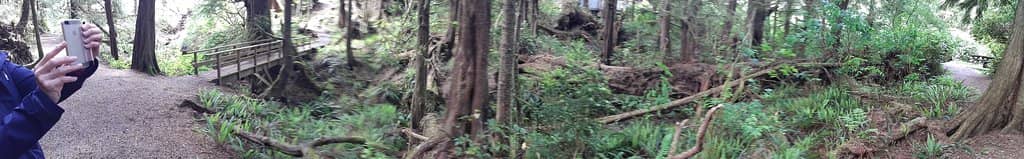 Vertical photo