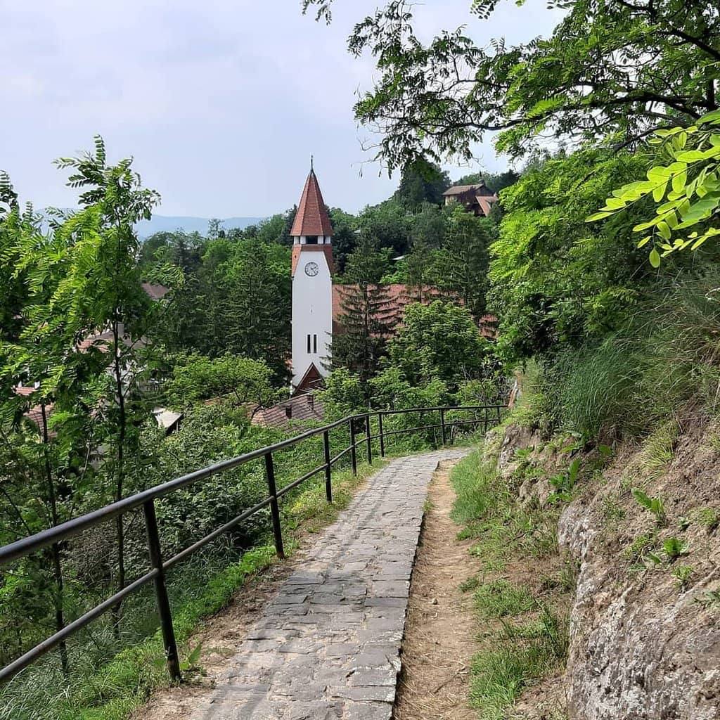 Scenic Walking Path