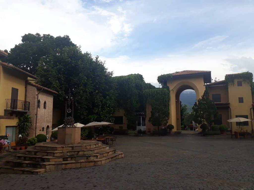 Animal Feeding Experience