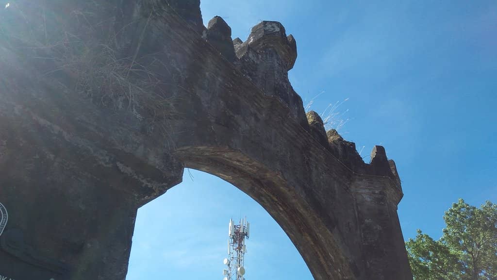 Vertical photo