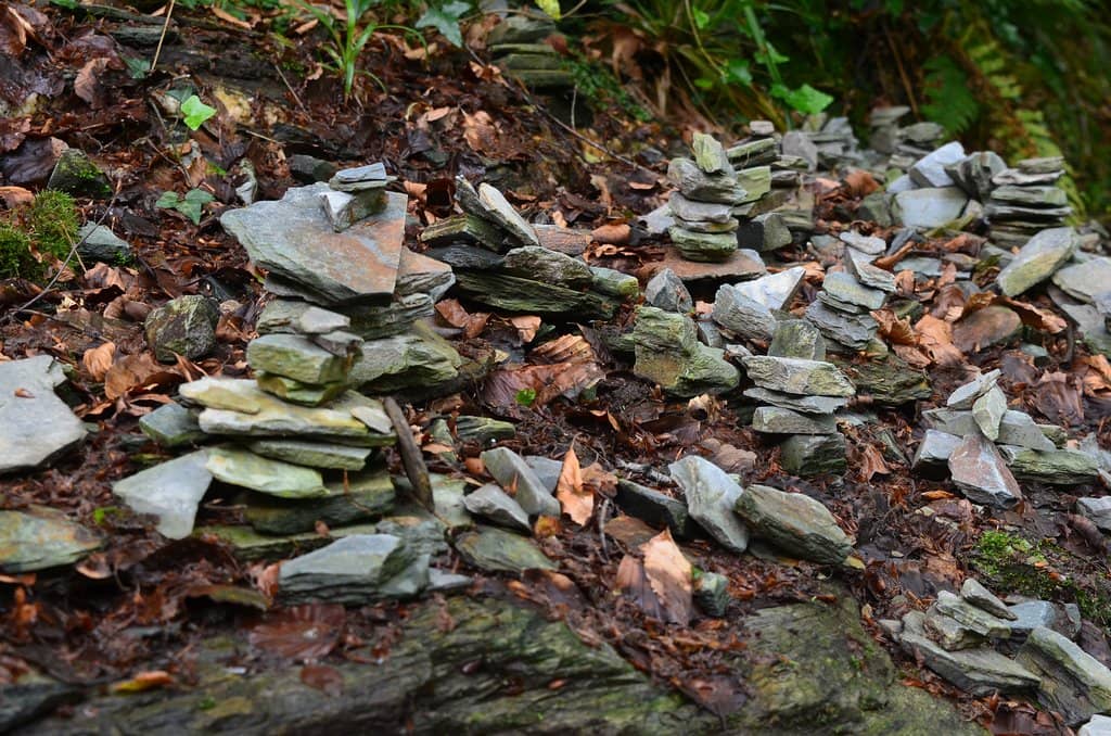 Woodland Walk