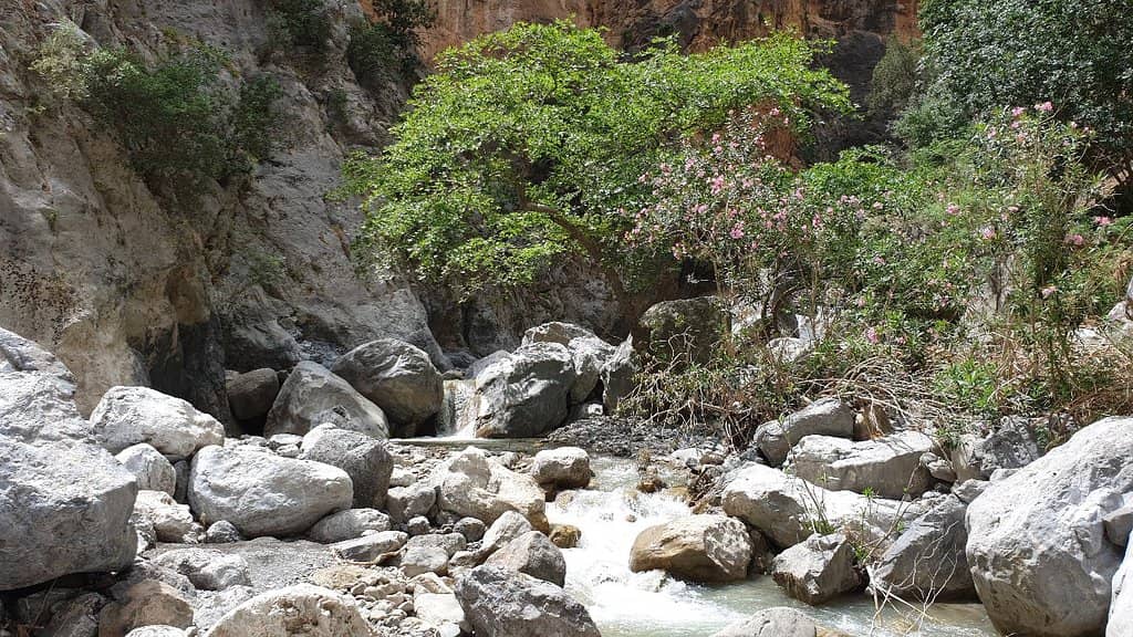 Challenging Scrambles