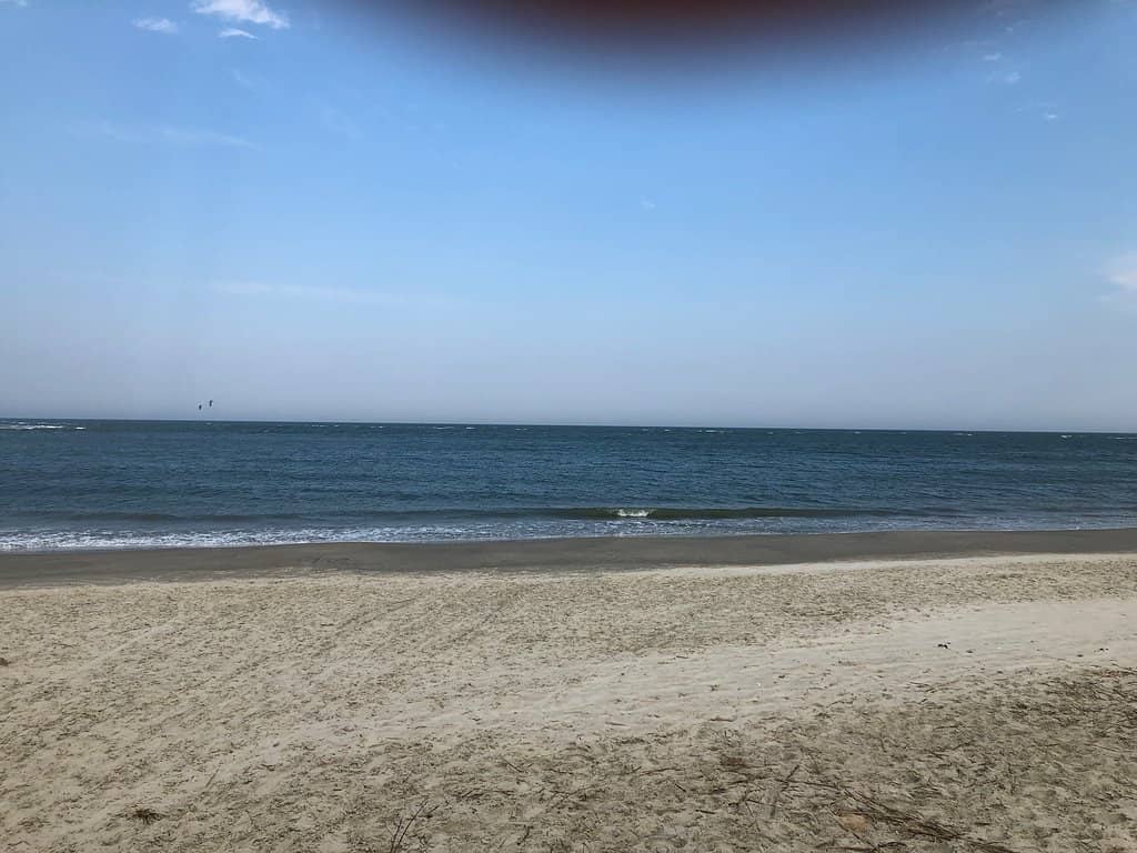 Beachcombing Treasures