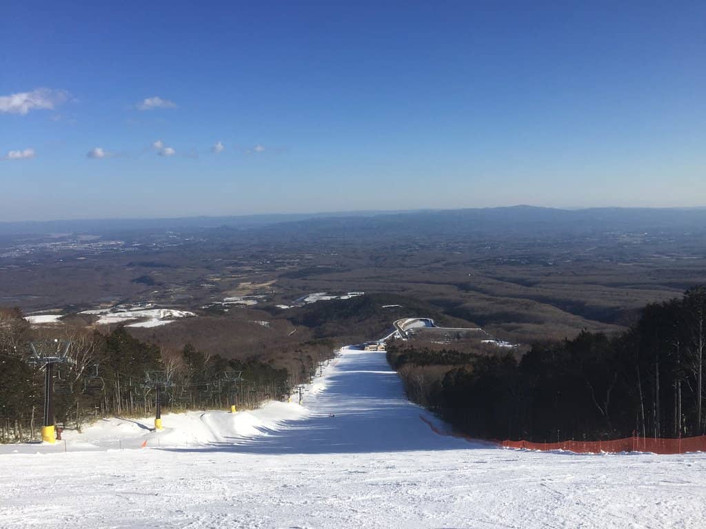 Dog-Friendly Mountain Experience